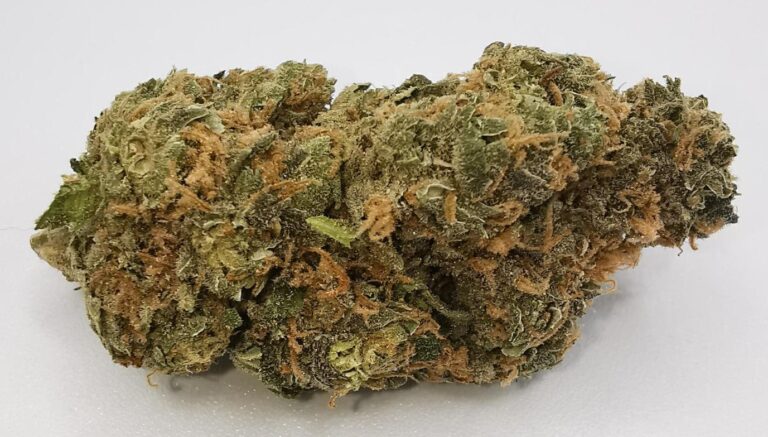 Black Swiss Cheese