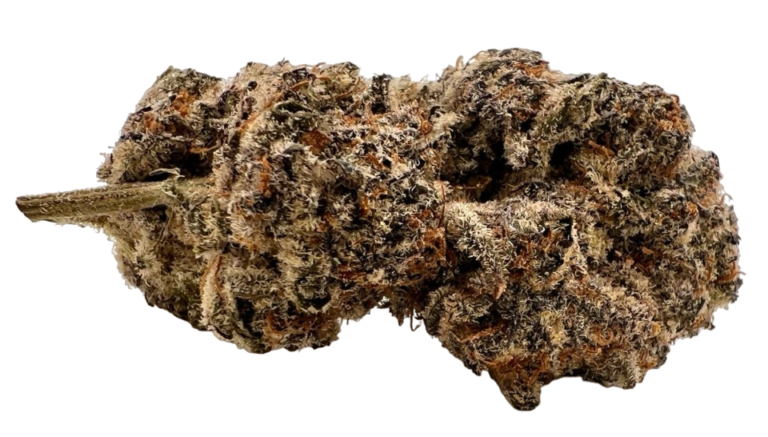Gelato Twist