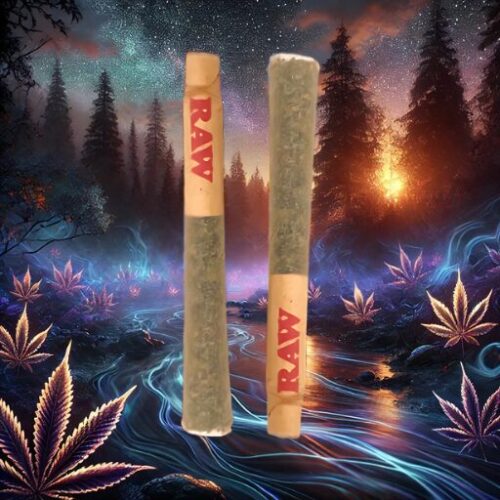 Blackwater Joint Buddy 1 1/4 Size Preroll 2 Pack